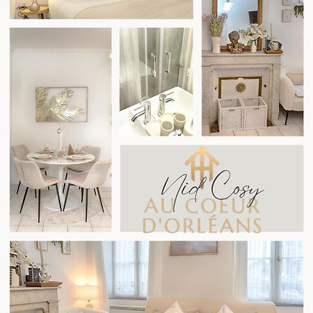 Апартаменти Le Nid Cosy -Au Coeur D'Орлеан Екстер'єр фото
